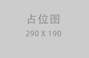 单域名  90天
